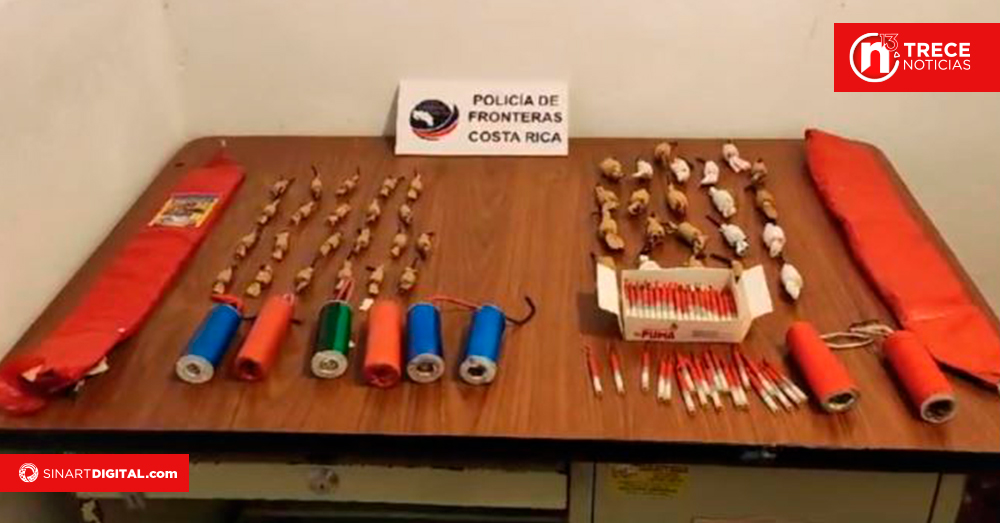 Policía decomisó más de 60 mil unidades de pólvora en este 2023