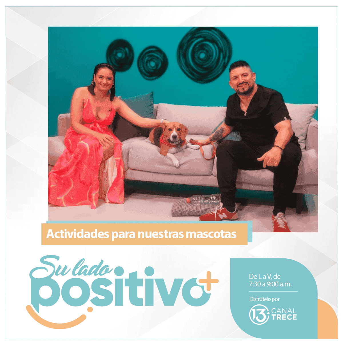 Actividades para hacer con nuestras mascotas