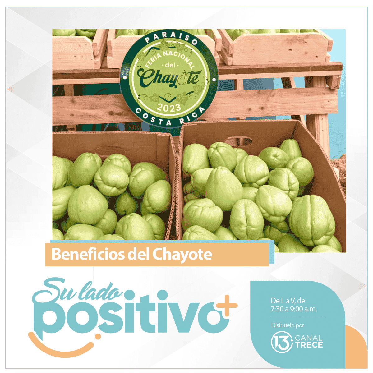 Beneficios del chayote