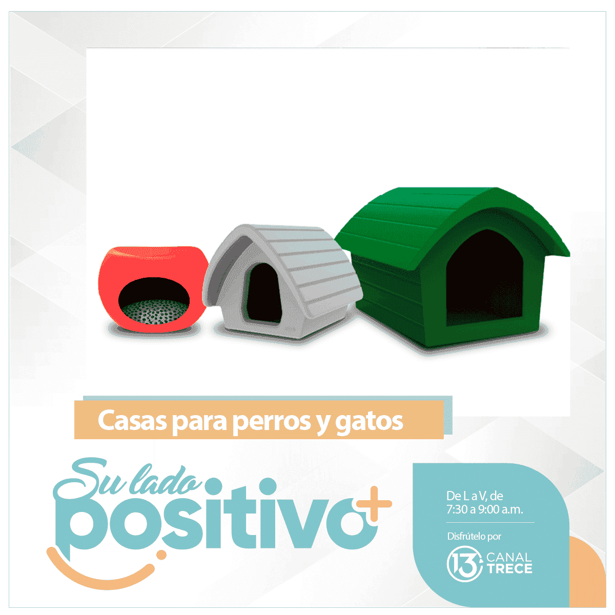 Casas para perros y gatos 