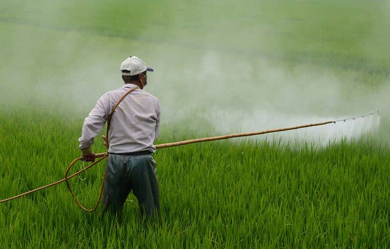 Precios de insumos agropecuarios mantienen una tendencia a la baja