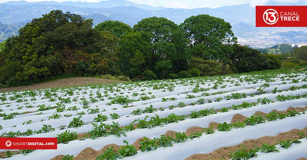 MAG llevará tecnología de precisión a pequeñas fincas