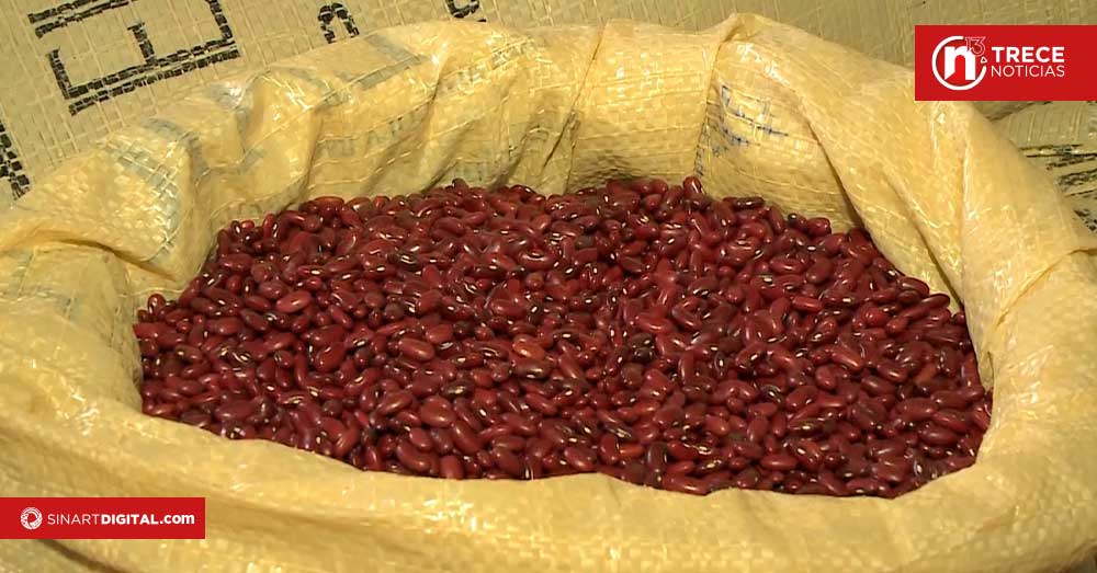 Productores de frijol venden por debajo de sus costos y ponen en riesgo la actividad