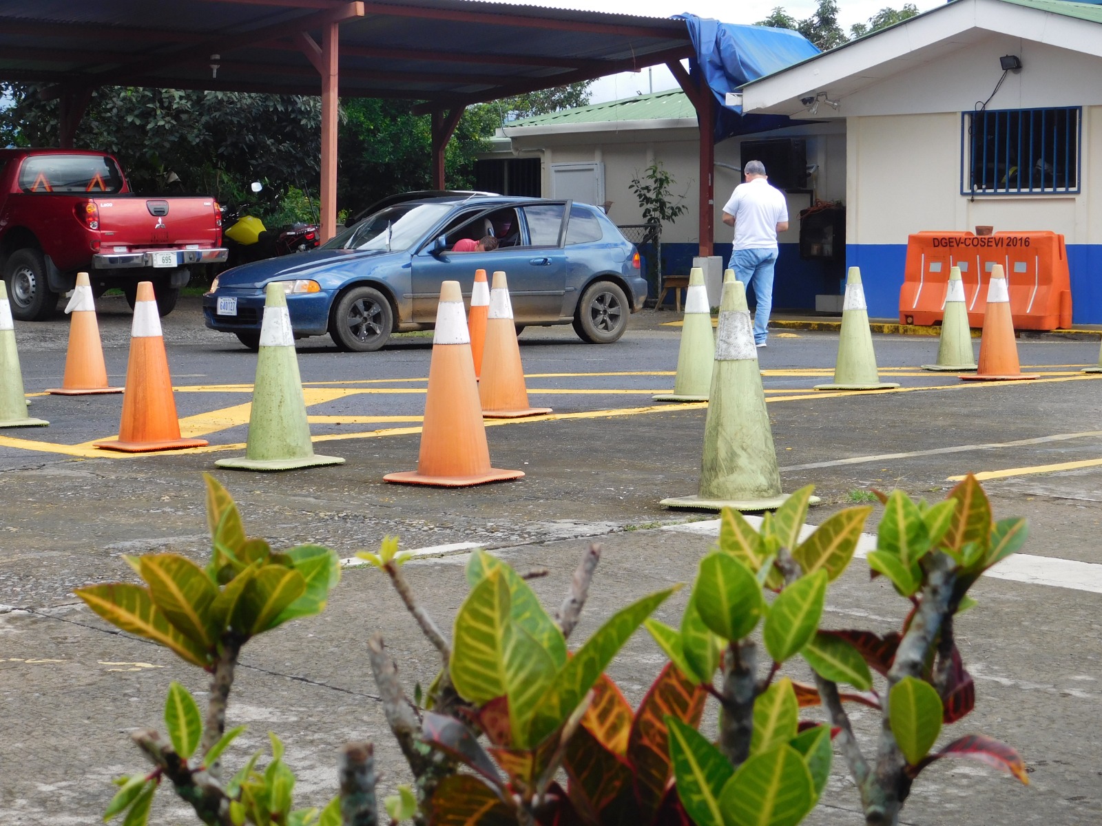 ¿Cuándo debe presentarse para la prueba de manejo tras fallas de internet del lunes?