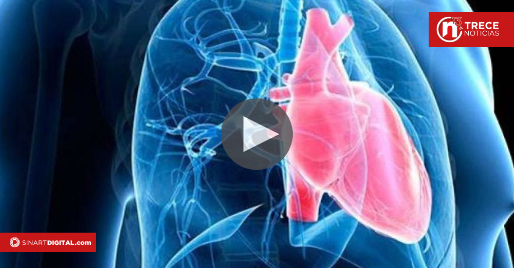 Conmemoran el Día Mundial de la Hipertensión Pulmonar con actividad recreativa y educativa