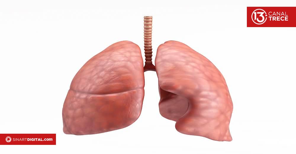Consejos para cuidar sus pulmones. 