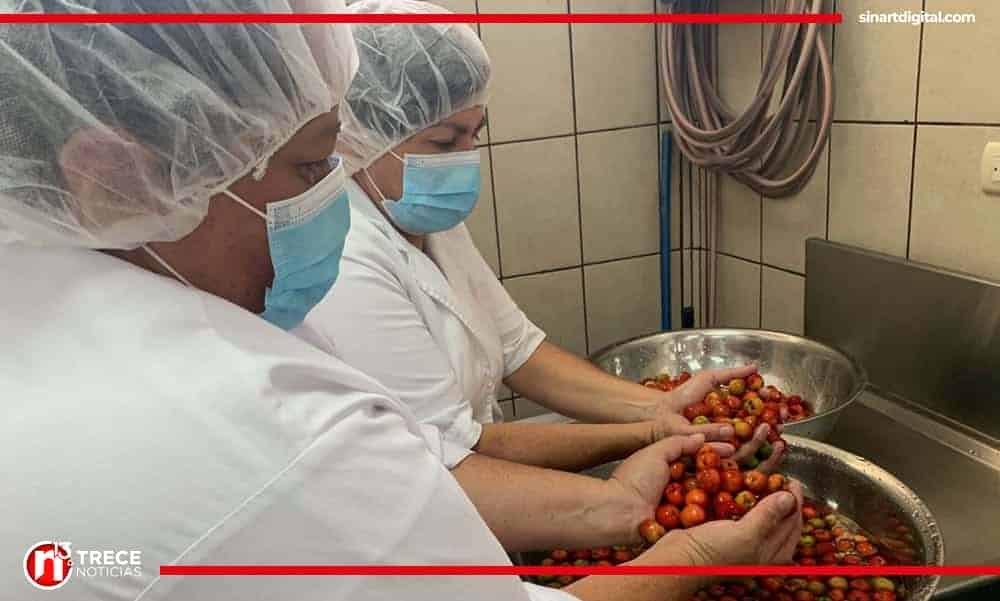 Jefas de hogar de Puriscal aprovechan capacitación para comercializar acerola