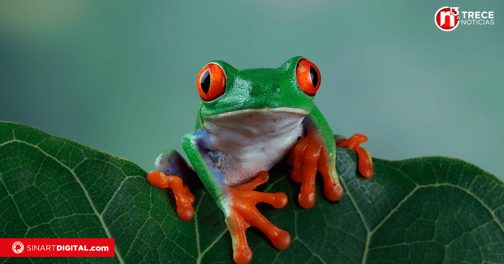 UCR acogerá importante evento sobre uso de tecnología y datos para el desarrollo sostenible