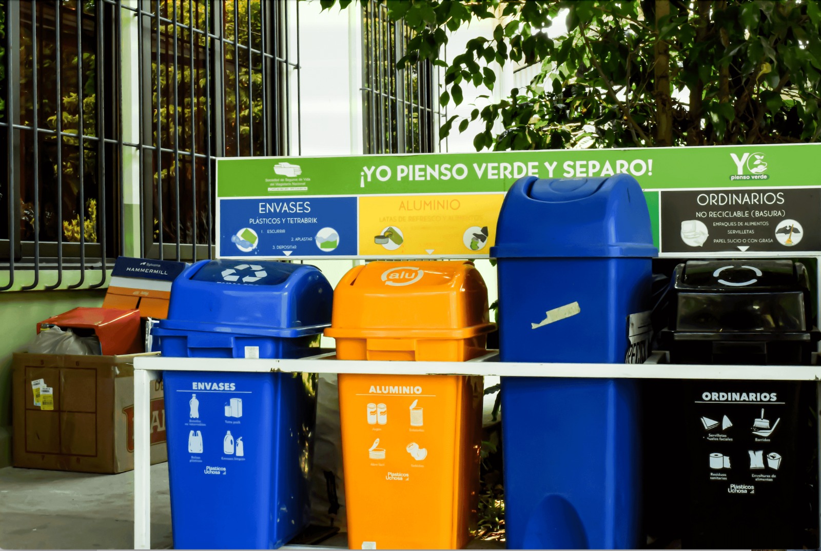 Programa ambiental impacta a 85,000 estudiantes