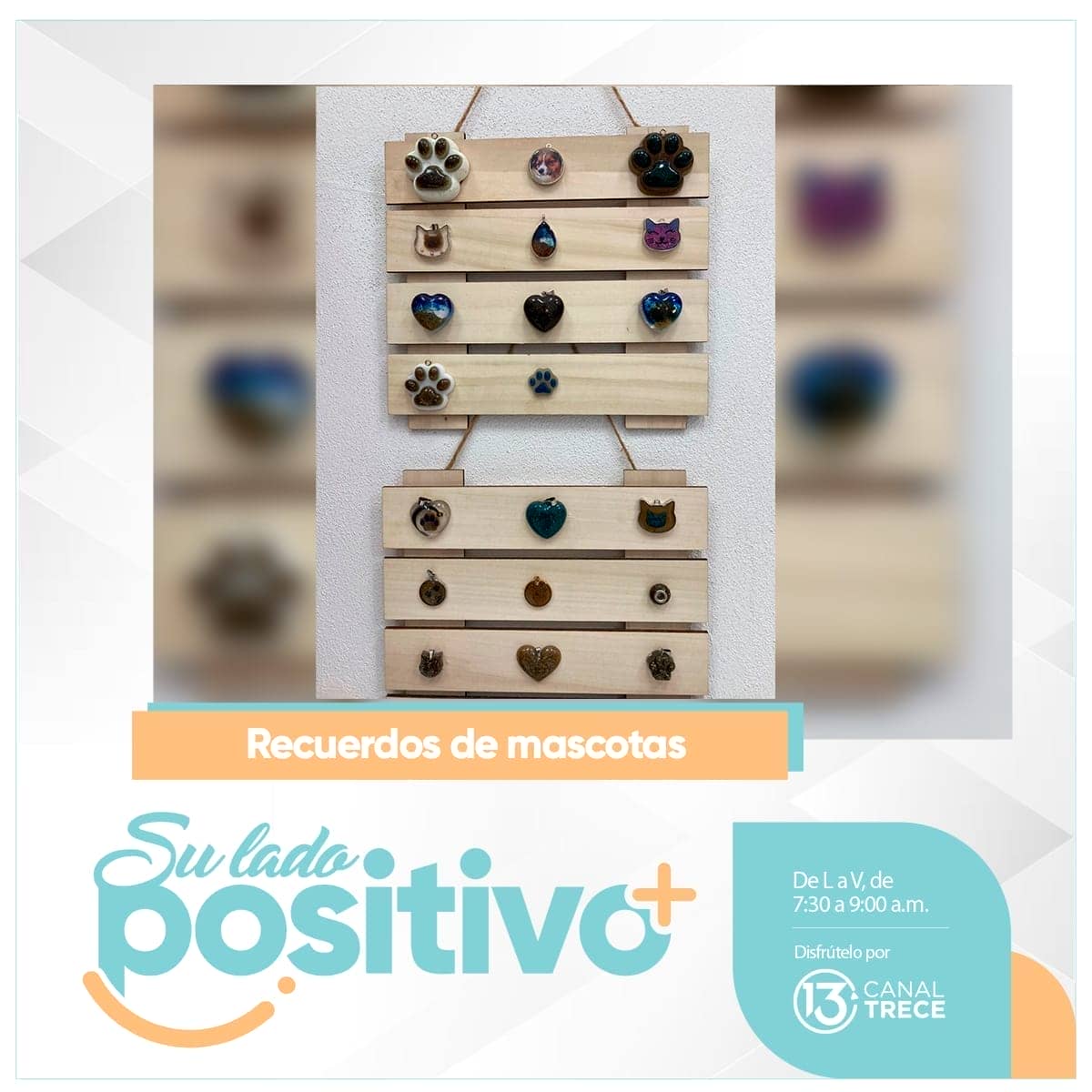 Recuerdos de mascotas 