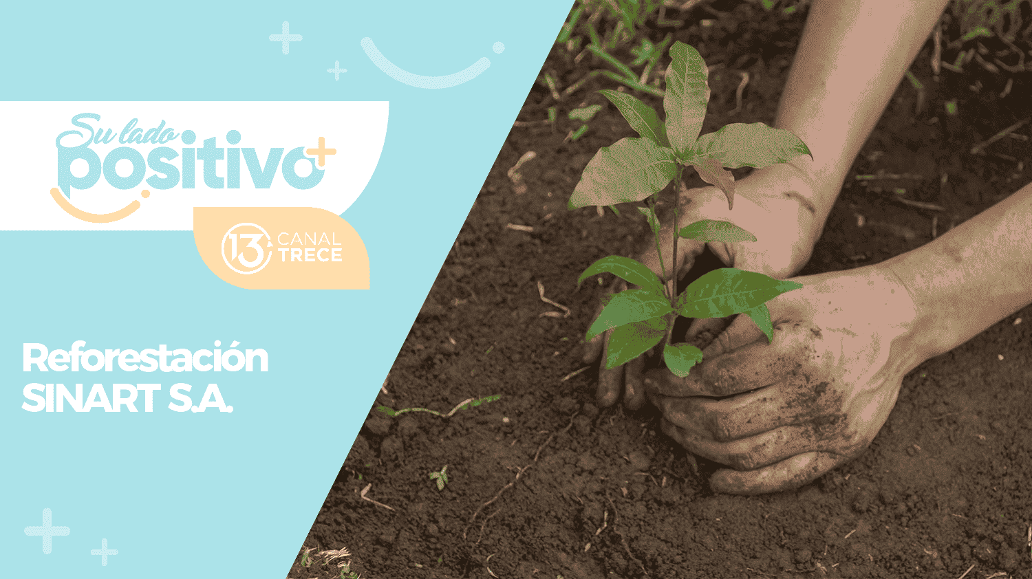 Reforestación SINART S.A.
