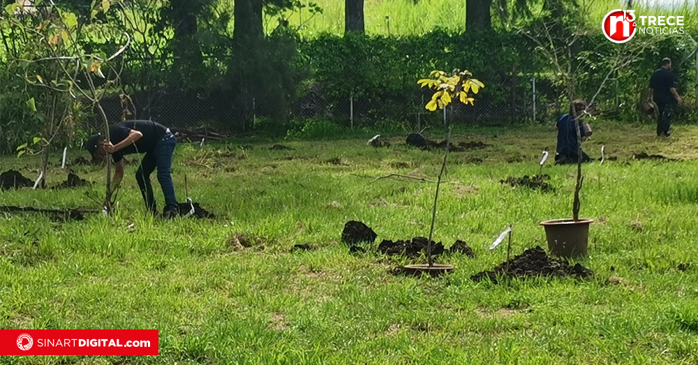 Funcionarios del SINART iniciaron con la reforestación de sus instalaciones 