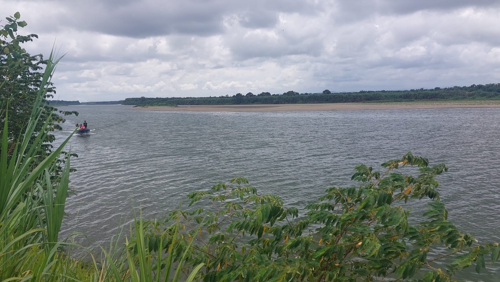 Hallan restos en río donde cocodrilo atacó a hombre