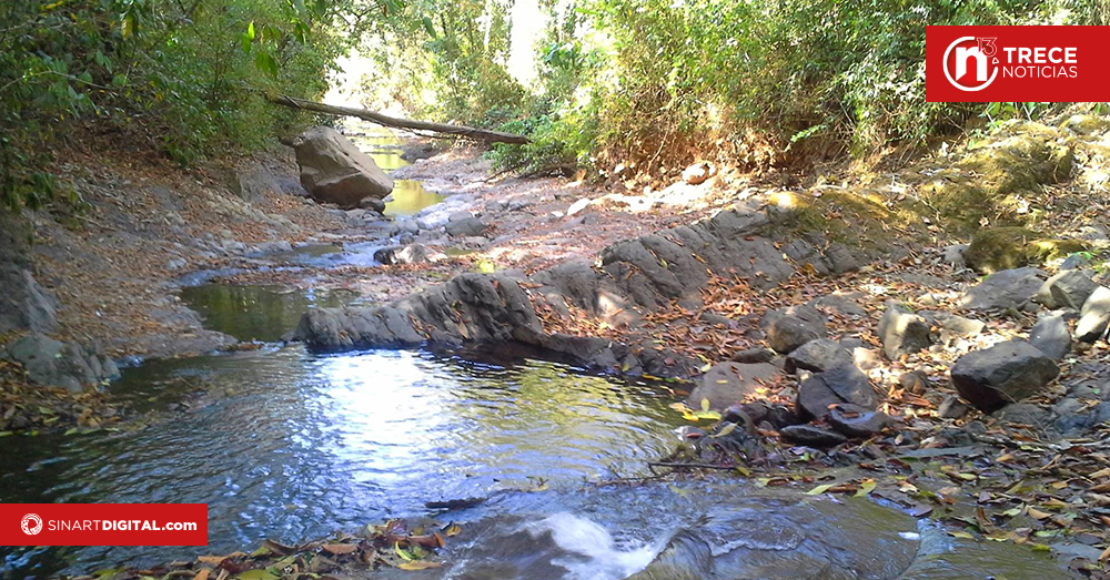MINAE investiga causa de mortandad de peces en el Río Ciruelas