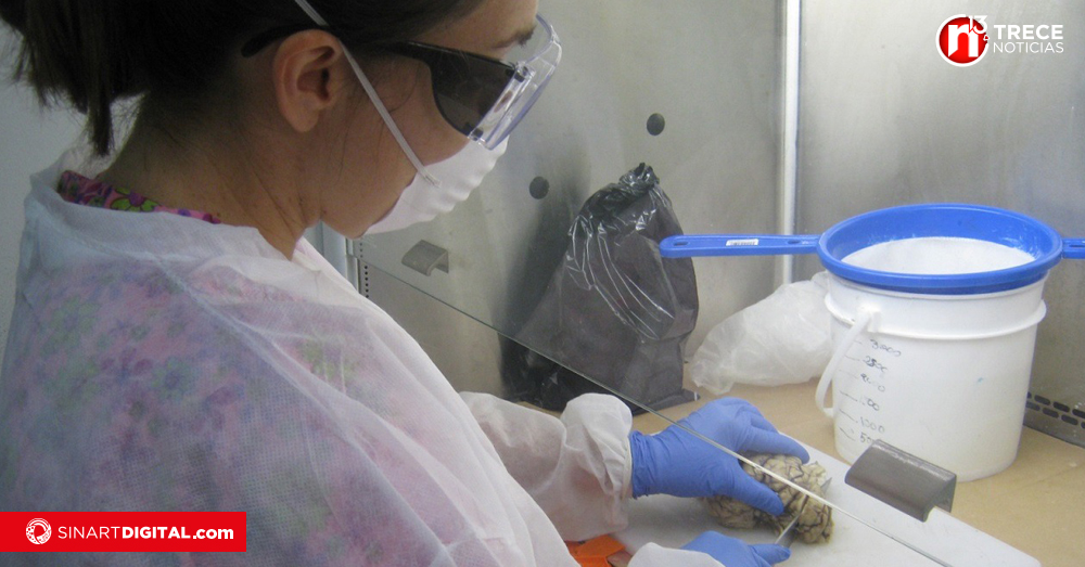 Senasa insta a los ganaderos a estar atentos por rabia 