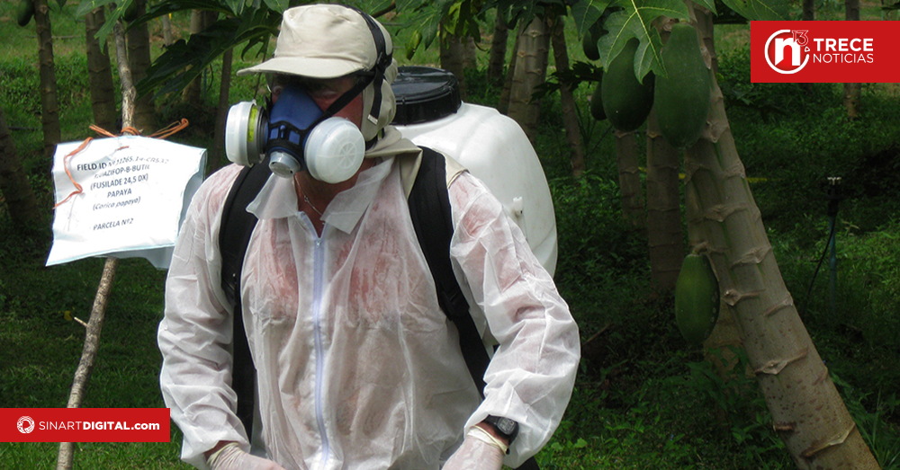 MAG bajará tarifas por servicios fitosanitarios hasta un 60% 