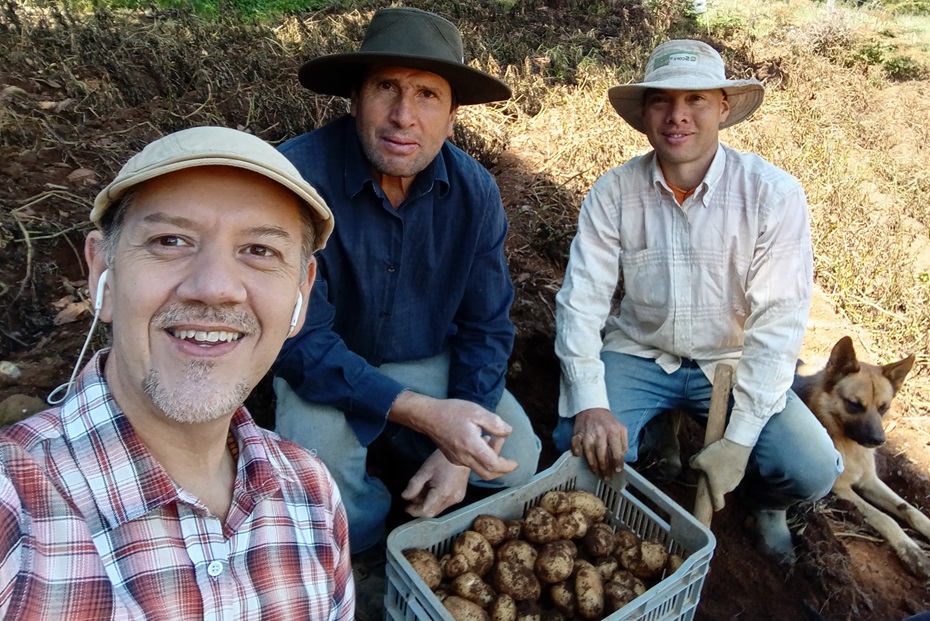 Sabe ¿cómo se siembran y cosechan las papas?