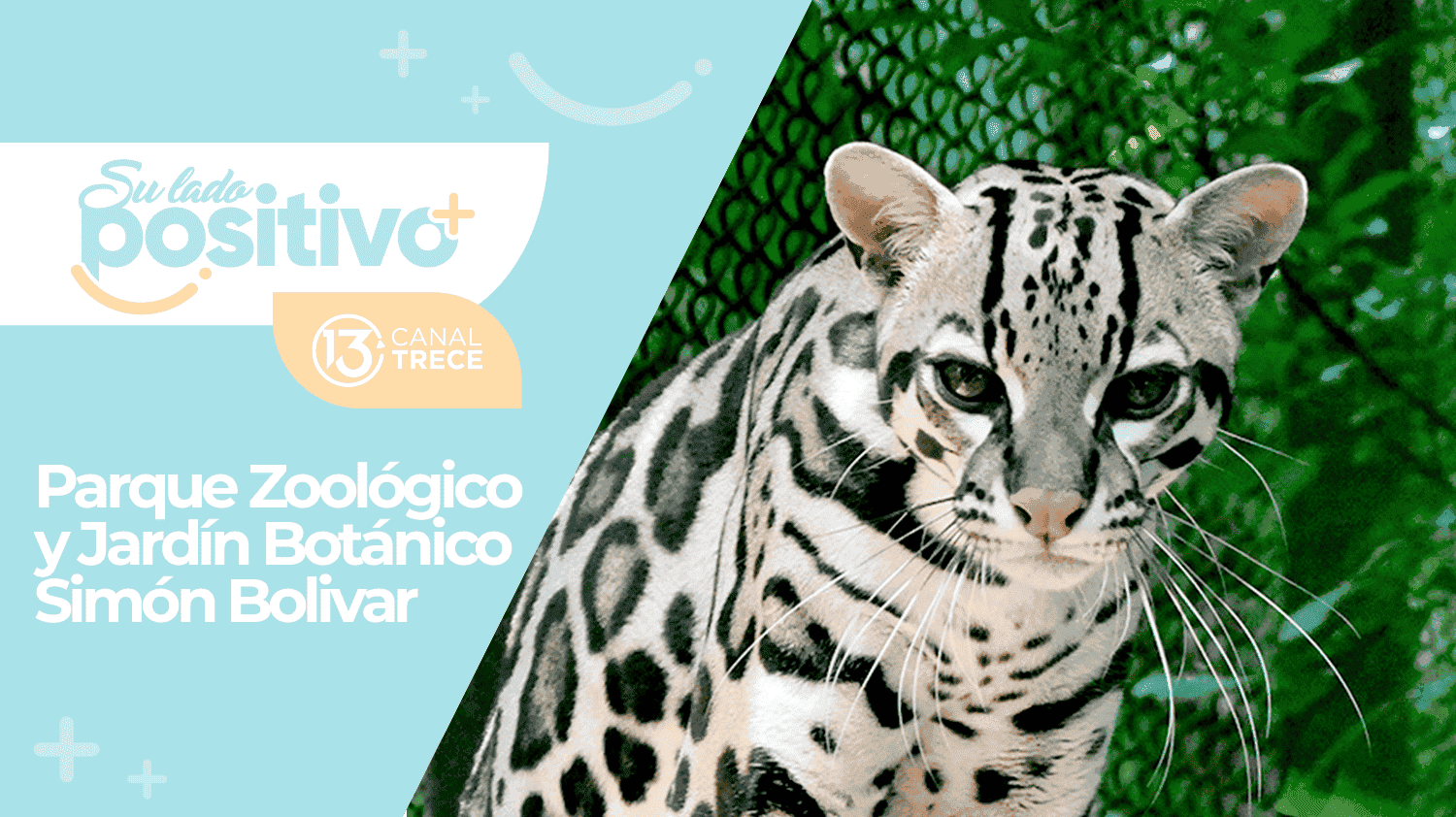 Recorremos el Parque Zoológico y Jardín Botánico Simón Bolivar