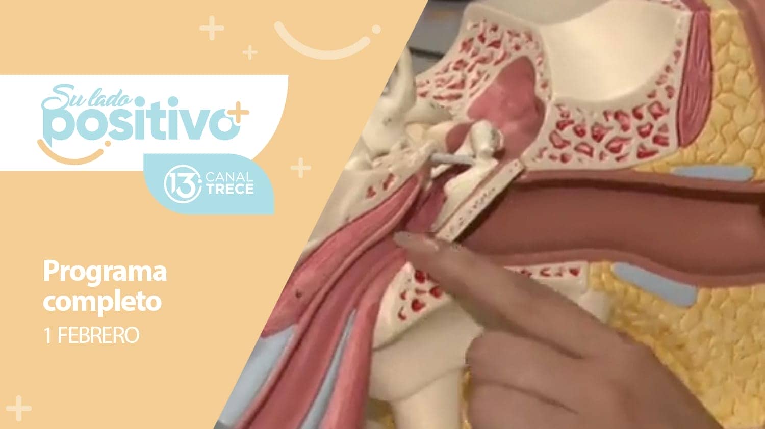 Su Lado Positivo - Programa Completo | 1 febrero 2024