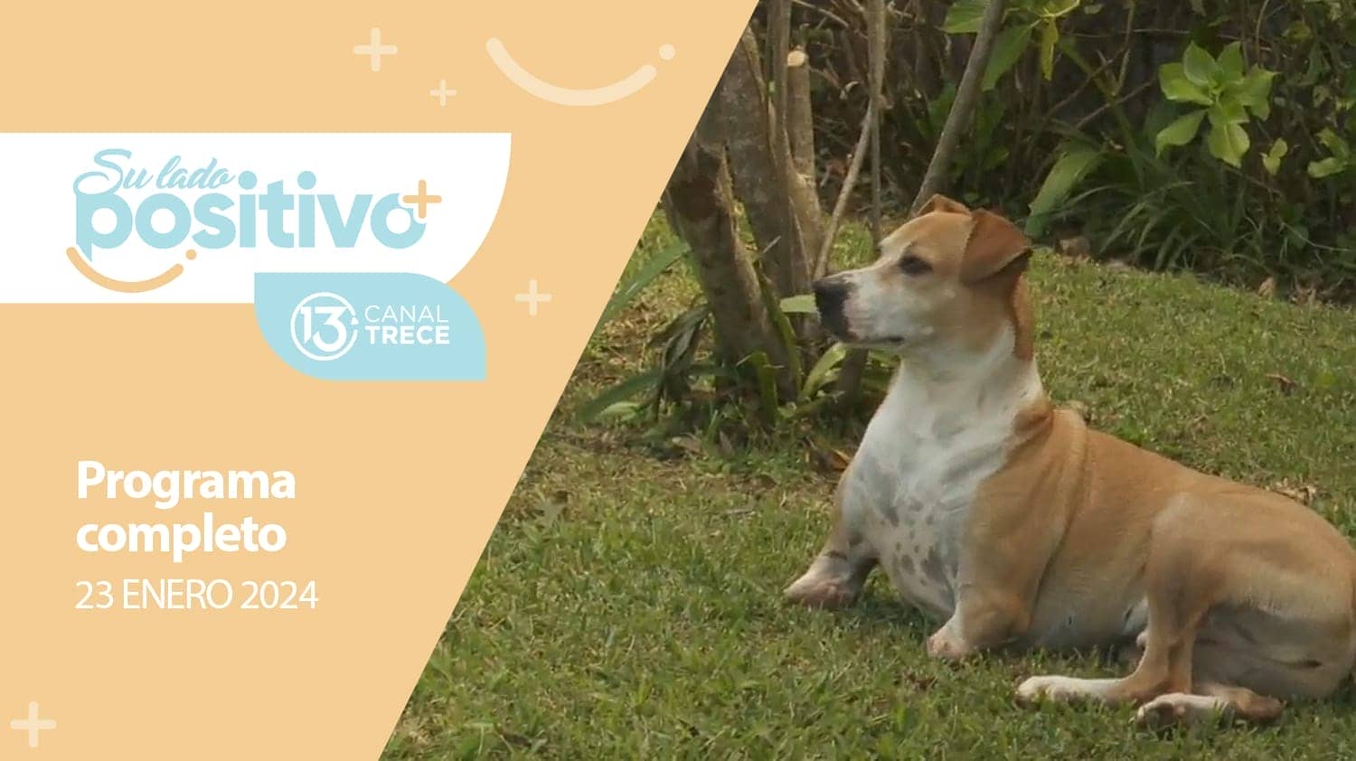 Su Lado Positivo - Programa Completo | 23 Enero 2024.