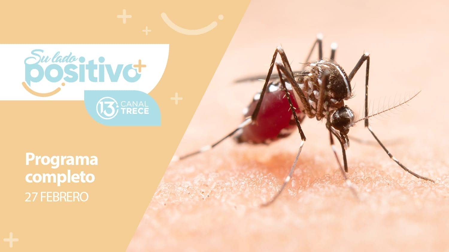 Su Lado Positivo - Programa Completo | 27 febrero 2024.