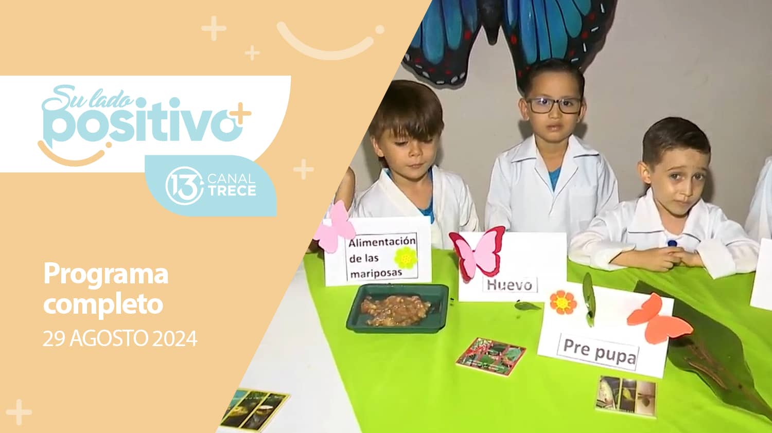 Su Lado Positivo 29 agosto 2024 | Programa completo.