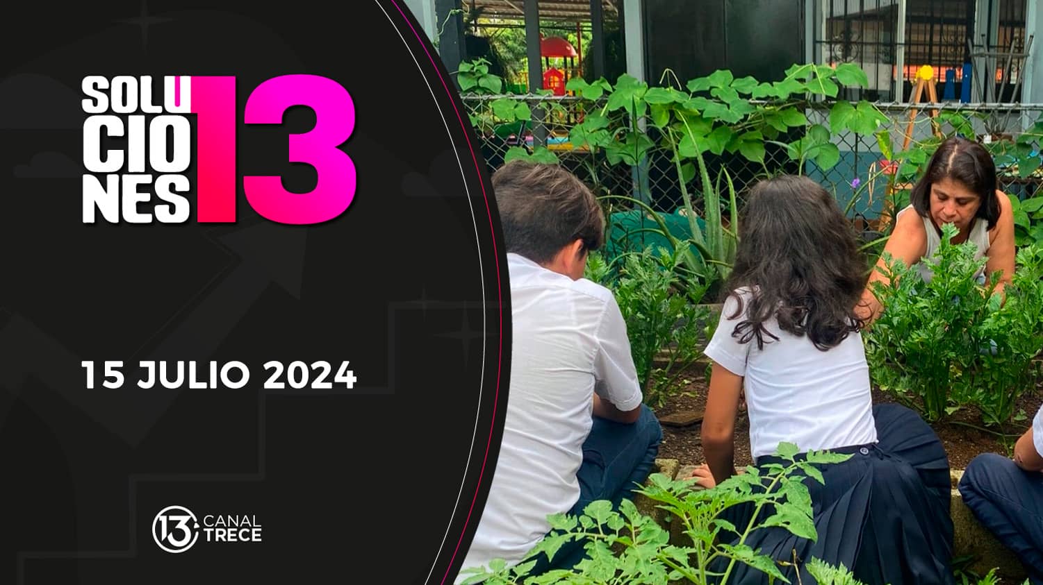 Soluciones del 13 | 15 julio 2024