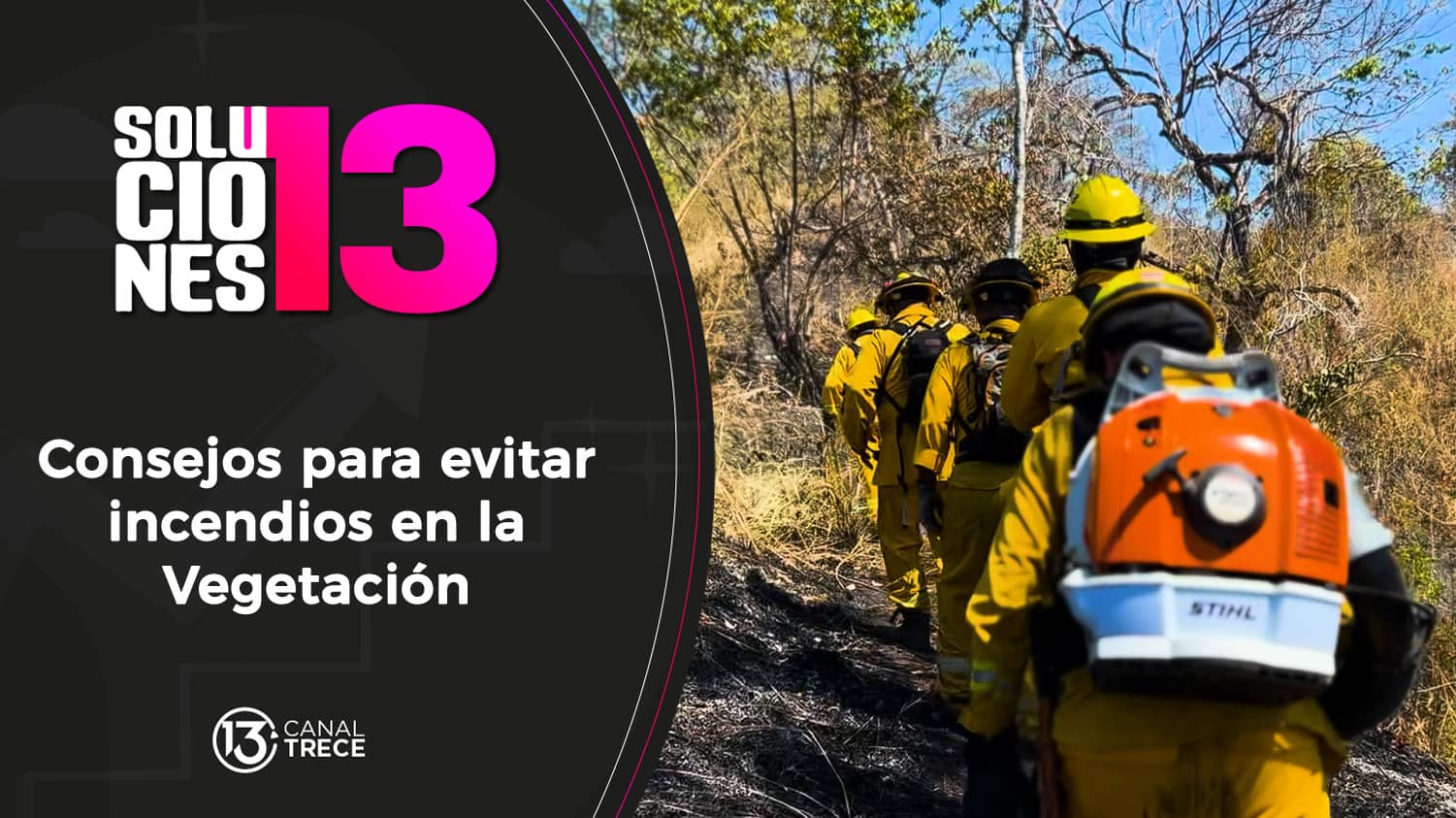Incendios en vegetación | 27 mayo 2024 Soluciones del 13.