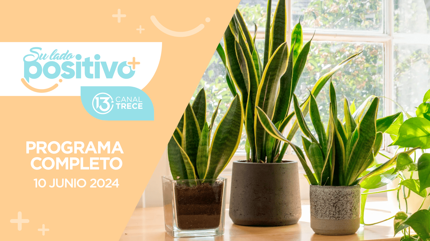 Su Lado Positivo - Programa Completo | 10 Junio 2024