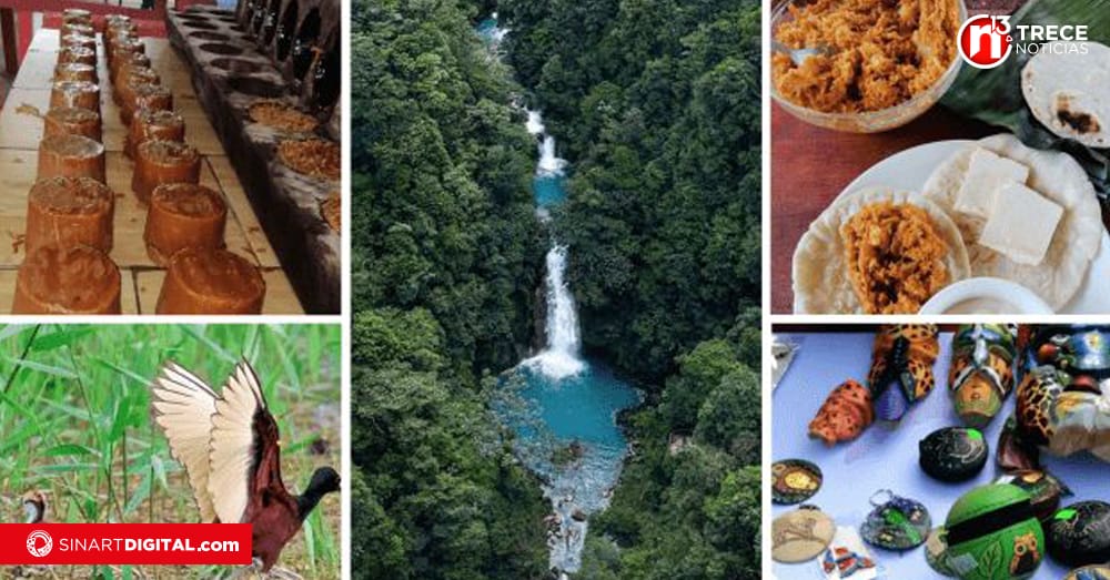 TEC realizará el primer encuentro para impulsar la transformación digital en el turismo