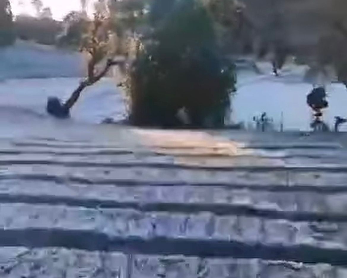 Bajas temperaturas llenan de escarcha faldas del volcán Turrialba