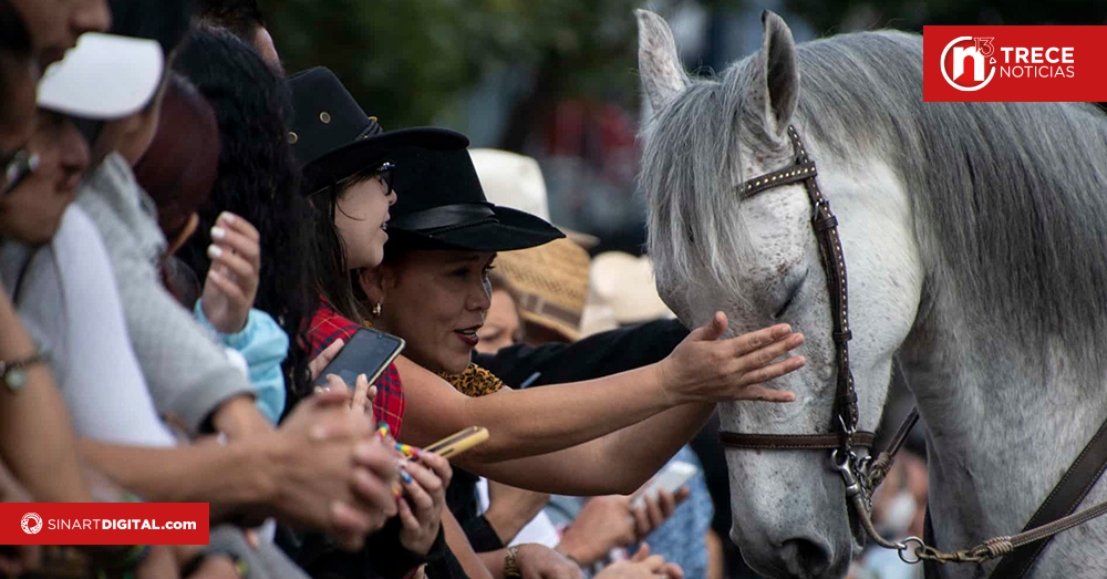 SENASA supervisará tope y corridas de toros para evitar maltratos