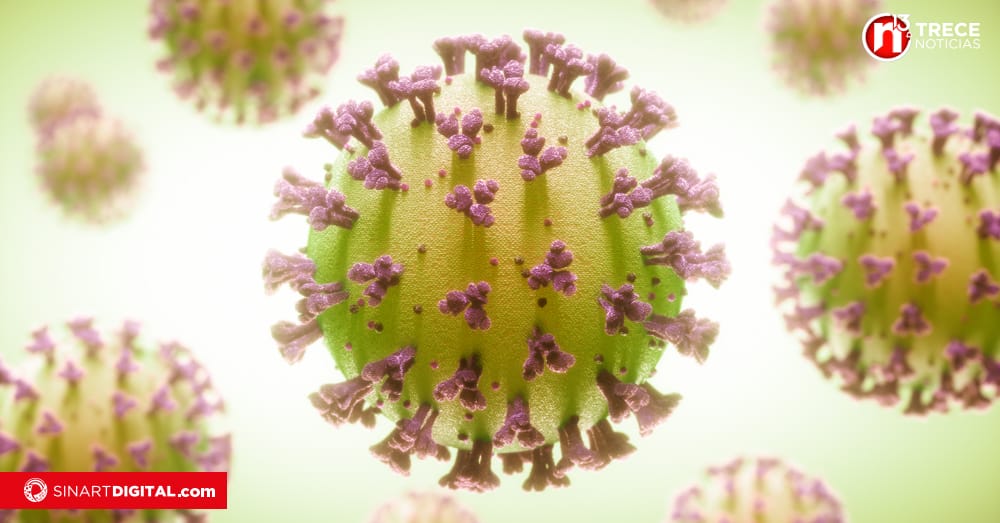 Covid 19: Nueva subvariante 