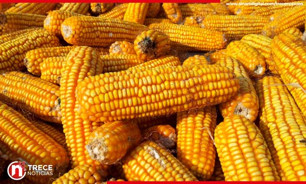 84% de vegetales más consumidos tiene nivel aceptable de residuos de plaguicidas