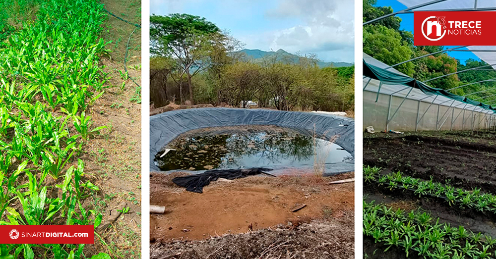 Isla Venado, se adapta al cambio y siembra