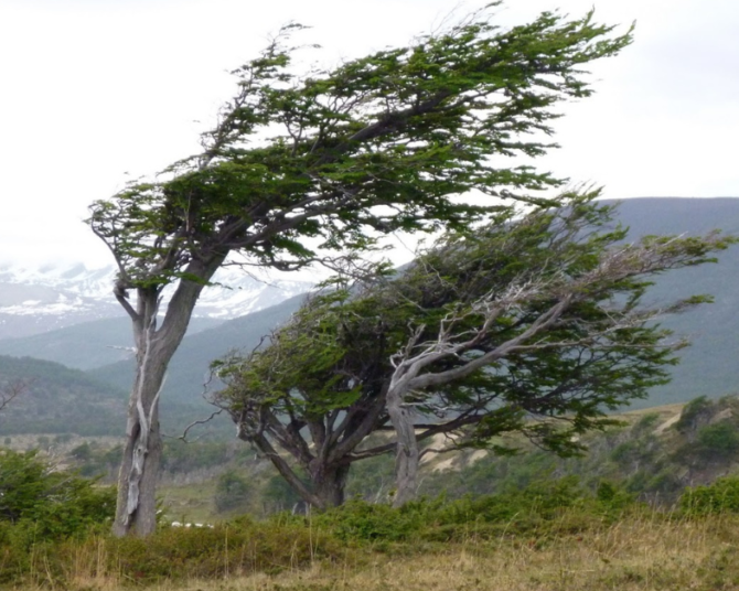 Fuertes vientos se darán esta tarde en el centro y norte del país