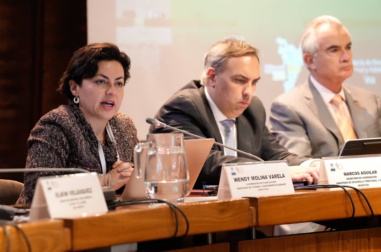 Wendy Molina, ministra de Vivienda, renuncia a su cargo