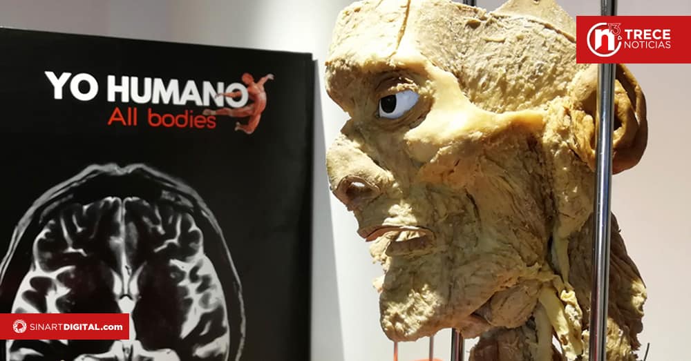 Exhibición “Yo Humano, All Bodies” hará reflexionar a niños y adultos